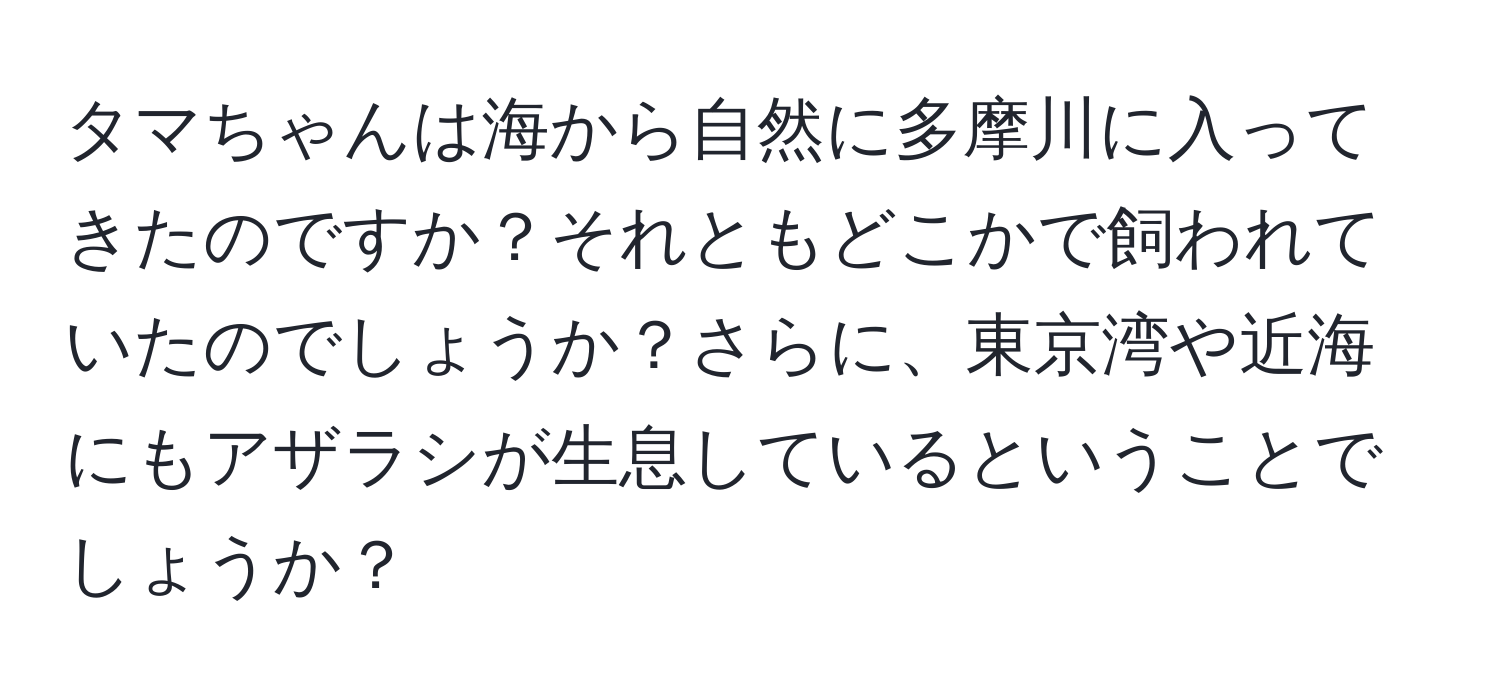 タマちゃんは海から自然に多摩川に入ってきたのですか？それともどこかで飼われていたのでしょうか？さらに、東京湾や近海にもアザラシが生息しているということでしょうか？