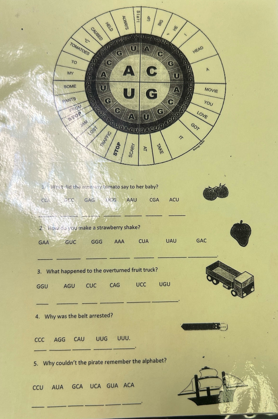 What did the mommy tomato say to her baby? 
CCA GCC GAG UGG AAU CGA ACU 
__ 
_ 
__ 
_ 
2. How do you make a strawberry shake? 
GAA GUC GGG AAA CUA UAU GAC 
_ 
_ 
_ 
_ 
_ 
_ 
_: 
3. What happened to the overturned fruit truck? 
GGU AGU CUC CAG UCC UGU 
_ 
_ 
__ 
_. 
4. Why was the belt arrested? 
CCC AGG ₹CAU UUG UUU. 
_ 
__ 
__. 
5. Why couldn’t the pirate remember the alphabet? 
CCU AUA GCA UCA GUA ACA 
_ 
_ 
__.