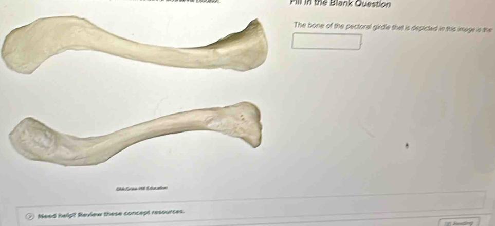 Solved: Fill in the Blank Question The bone of the pectoral girdle that ...
