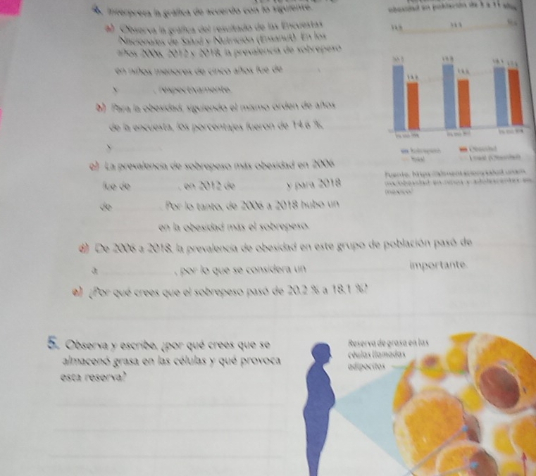 Interpreta la gráfica de acuerdo con lo sigun 
a) Observa la gráfica del resultado de las Encuestas 
Nacionales de Salud y Nutrición (Ensanut). En los 
años 2006, 2012 y 2018, la prevalencia de sobrepesó 
en niños menores de cinco años fue de 
respectivamente 
b) Para la obesidad, siguiendo el mismo orden de años 
de la encuesta, los porcentajes fueron de 14.6 %
_ 
e) La prevalencia de sobrepeso más obesidad en 2006
fué de _en 2012 de y para 2018
_Por lo tanto, de 2006 à 2018 hubo un 
_en la obesidad más el sobrepeso. 
d) De 2006 a 2018. la prevalencia de obesidad en este grupo de población pasó de_ 
_por lo que se considera un _importante 
#) (Por qué crees que el sobrepeso pasó de 20.2 % a 18.1 %) 
_ 
5 Observa y escribe, ¡por qué crees que se 
almacenó grasa en las células y qué provoca 
esta reserva? 
_ 
_ 
_