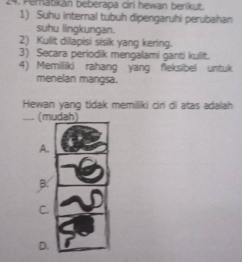 Pematikan beberapa ciri hewan berikut.
1) Suhu internal tubuh dipengaruhi perubahan
suhu lingkungan.
2) Kulit dilapisi sisik yang kering.
3) Secara periodik mengalami ganti kullit.
4) Memiliki rahang yang fleksibel untuk
menelan mangsa.
Hewan yang tidak memilliki ciri di atas adalah
.... (m
A.
B.
C.
D.