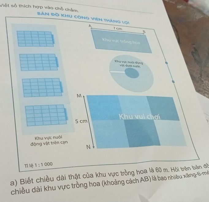 Viết số thích hợp vào chỗ châm. 
BẢN ĐỒ KHU 
Khu vực nuôi 
động vật trên cạn 
Tỉ lệ 1:1000
a) Biết chiều dài thật của khu vực trồng hoa là 60 m. Hỏi trên bản đồ 
chiều dài khu vực trồng hoa (khoảng cách AB) là bao nhiêu xăng-ti-mề