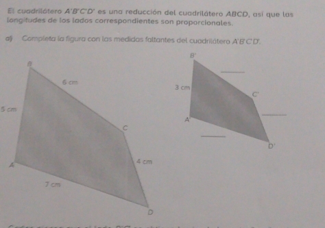 El cuadrilótero A'B'C'D' es una reducción del cuadrilátero ABCD, así que las
longitudes de los lados correspondientes son proporcionales.
a Completa la figura con las medidas faltantes del cuadrilátero A'B'C'D'.