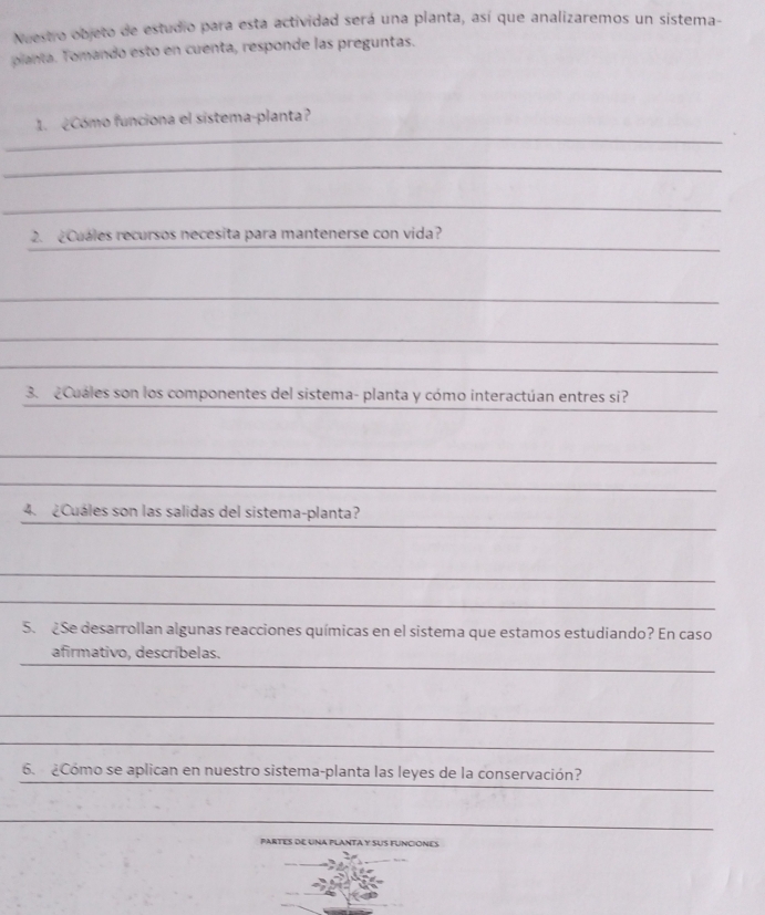 Nuestro objeto de estudio para esta actividad será una planta, así que analizaremos un sistema- 
planta. Tomando esto en cuenta, responde las preguntas. 
_ 
1. ¿Cómo funciona el sistema-planta? 
_ 
_ 
_ 
2. ¿Cuáles recursos necesita para mantenerse con vida? 
_ 
_ 
_ 
_ 
_ 
3. ¿Cuáles son los componentes del sistema- planta y cómo interactúan entres si? 
_ 
_ 
_ 
4. ¿Cuáles son las salidas del sistema-planta? 
_ 
_ 
5. Se desarrollan algunas reacciones químicas en el sistema que estamos estudiando? En caso 
_ 
_ 
afirmativo, descríbelas. 
_ 
_ 
_ 
6. ¿Cómo se aplican en nuestro sistema-planta las leyes de la conservación? 
_ 
PARTES DE UNA PLANTA Y SUS FUNCIONES