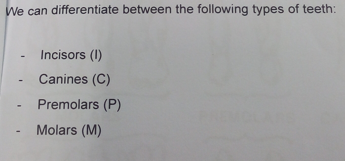 Solved: We can differentiate between the following types of teeth ...