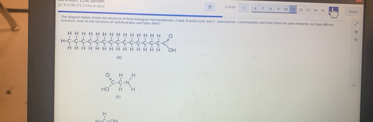 SC.912.Bio.T2.1.Macro.Quiz 11 of 20 < <tex>6 7 8 9 10 11 12 13 14 15 Finish 
functions. How do the functions of carbohydrates and lipids differ? The diagram below shows the structure of three biological macromolecules: A.lipid, B.amino acid, and C. carbohydrate. Carbohydrates and lipids share the same elements, but have different 
(a)
beginarrayr O_H HOendarray C-C^H-N^H H
(b)
H