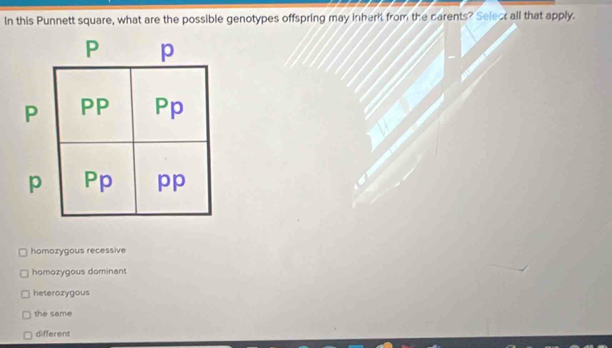 Solved: In this Punnett square, what are the possible genotypes ...