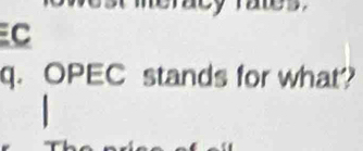 C
q. OPEC stands for what?