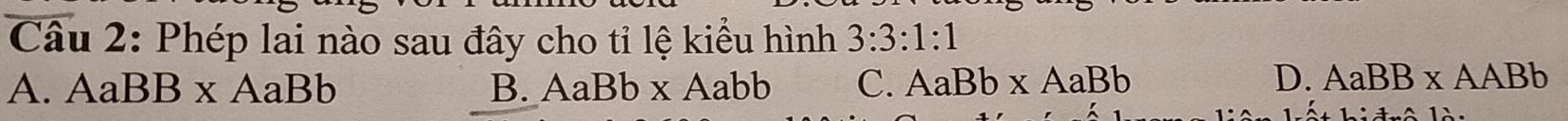 Phép lai nào sau đây cho tỉ lệ kiểu hình 3:3:1:1
A. Aa BB* AaBb B. AaBb* Aabb C. AaBb* AaBb
D. AaBB* AABb