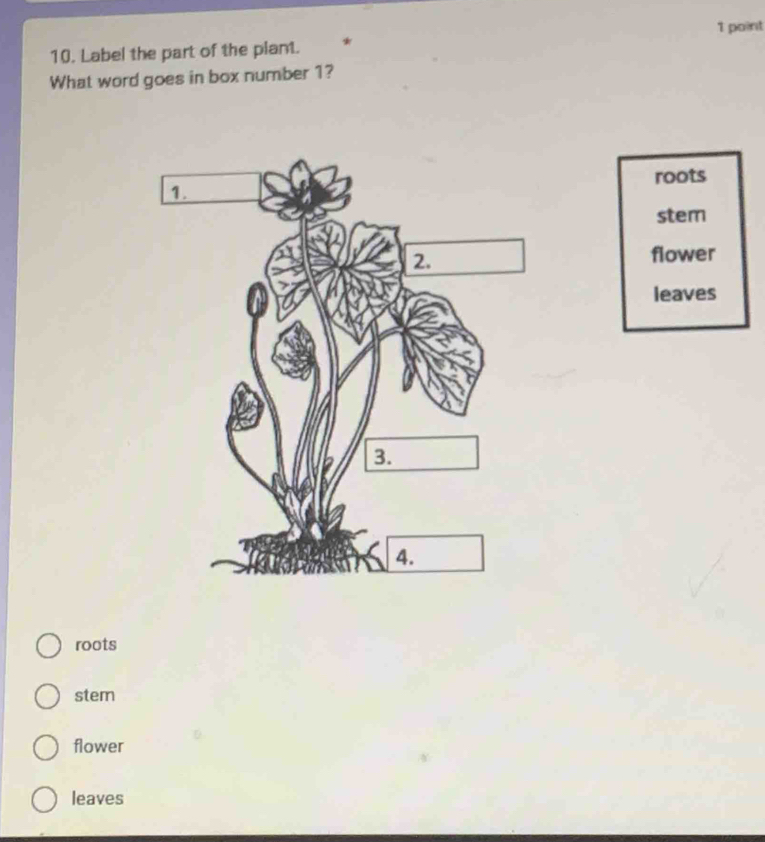 Solved: Label the part of the plant. 1 point What word goes in box ...