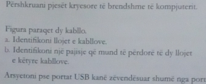 Përshkruani pjesët kryesore të brendshme të kompjuterit. 
Figura paraqet dy kabllo. 
a. Identifikoni llojet e kabllove. 
b. Identifikoni një pajisje që mund të përdorë të dy llojet 
e kētyre kabllove. 
Arsyetoni pse portat USB kanë zëvendësuar shumë nga port