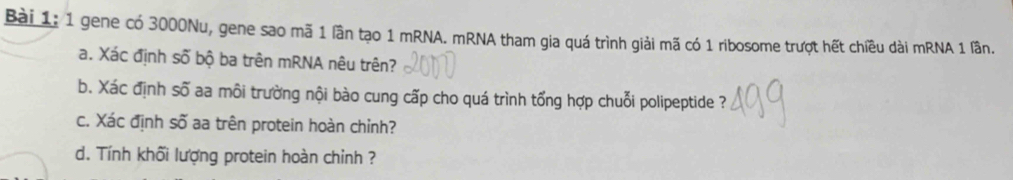 gene có 3000Nu, gene sao mã 1 lần tạo 1 mRNA. mRNA tham gia quá trình giải mã có 1 ribosome trượt hết chiều dài mRNA 1 lần. 
a. Xác định số bộ ba trên mRNA nêu trên? 
b. Xác định số aa môi trường nội bào cung cấp cho quá trình tổng hợp chuỗi polipeptide ? 
c. Xác định số aa trên protein hoàn chỉnh? 
d. Tính khối lượng protein hoàn chỉnh ?