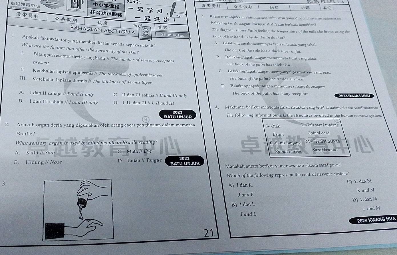 ：     ：
 
！
3. Rajah menunjukkan Fatin merasa suhu susu yang dibancuhnya menggunakan
   
belakang tapak tangan. Mengapakah Fatin berbuat demikian?
： The diagram shows Fatin feeling the temperature of the milk she brews using the
BAHAGIAN SECTION A 25 minutes back of her hand. Why did Fatin do that?
1. Apakah faktor-faktor yang memberi kesan kepada kepekaan kulit? A. Belakang tapak mempunyai lapisan lemak yang tebal.
What are the factors that affect the sensitivity of the skin? The back of the sole has a thick layer of fat.
l. Bilangan reseptor deria yang hadir // The number of sensory receptors
B. Belakang tapak tangan mempunyai kulit yang tebal.
present The back of the palm has thick skin
C. Belakang tapak tangan mempunyai permukaan yang luas.
II. Ketebalan lapisan epidermis // The thickness of epidermis layer
The back of the palm has a wide surface
III. Ketebalan lapisan dermis // The thickness of dermis layer
D. Belakang tapak tangan mempunyai banyak reseptor
A. I dan II sahaja // I and II only C. II dan III sahaja // II and III only The back of the palm has many receptors 2023 RAJA LUMU
B. I dan III sahaja // I and III only D. I, II, dan III // I, II and III
4. Maklumat berikut menyenaraikan struktur yang terlibat dalam sistem saraf manusia
2023
BATU UNJUR The following information lists the structures involved in the human nervous system.
2. Apakah organ deria yang digunakan oleh orang cacat penglihatan dalam membaca J- Otak L -Tali saraf tunjang
Braille? Brain Spinal cord
What sensory organ is used by blind people in Braille reading? K-Saraf tunjang M -Cranial nerves
A. Kulit // Skin C. Mata // Eye Spinal nerves Sarafkranial
2023
B. Hidung // Nose D. Lidah // Tongue BATU UNJUR Manakah antara berikut yang mewakili sistem saraf pusat?
Which of the following represent the central nervous system?
3.
A) J dan K C) K dan M
J and K K and M
B) J dan L D) L dan M
J and L L and M
2024 KWANG HUA
21