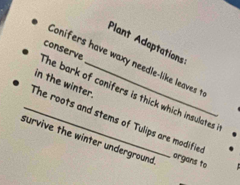 Plant Adaptations 
conserve 
Conifers have waxy needle-like leaves t 
in the winter. 
The bark of conifers is thick which insulates 
_The roots and stems of Tulips are modifie. 
survive the winter underground 
organs to