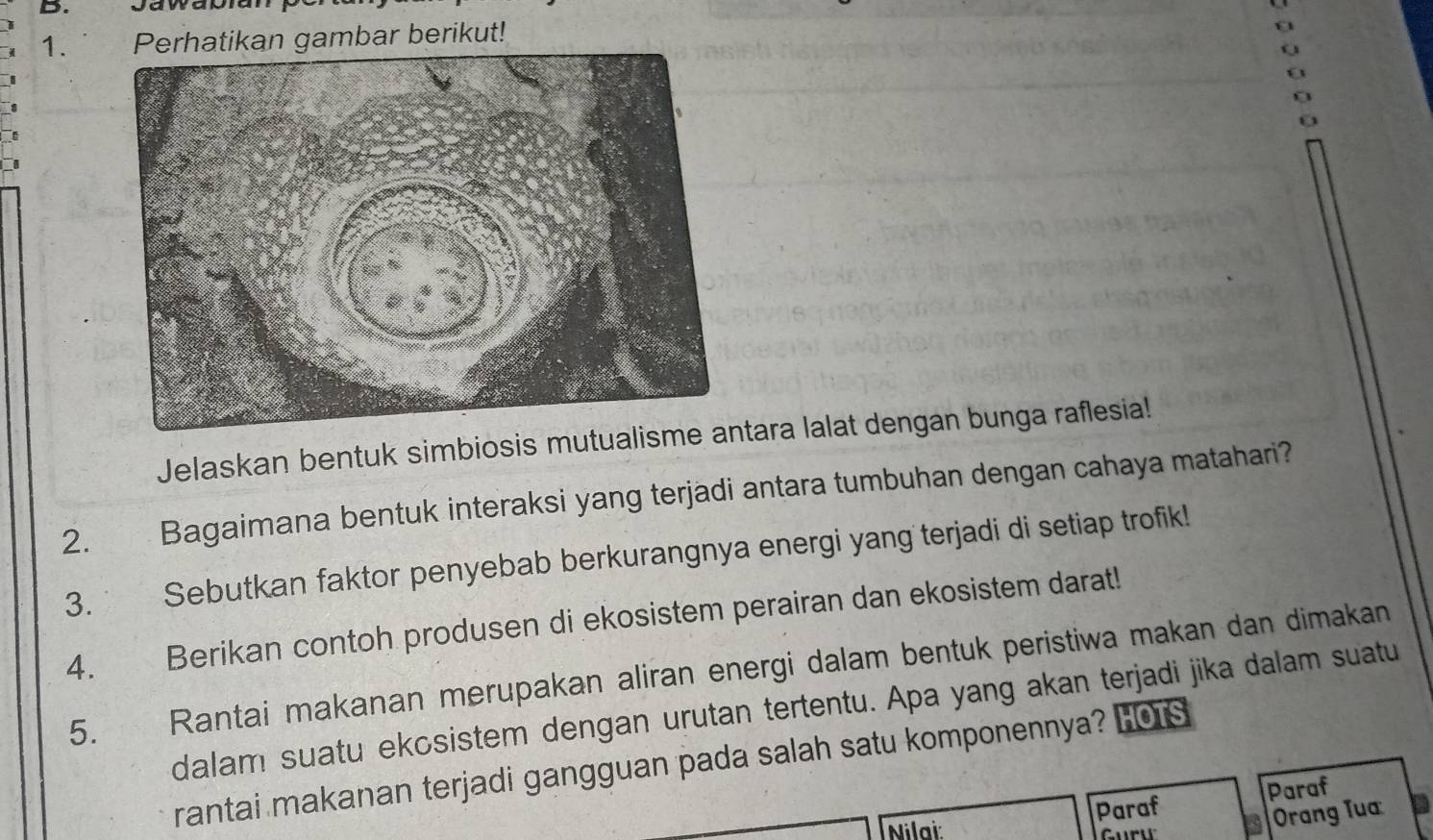 Perhatikan gambar berikut! 
Jelaskan bentuk simbiosis mutualismtara lalat dengan bunga raflesia! 
2. Bagaimana bentuk interaksi yang terjadi antara tumbuhan dengan cahaya matahari? 
3. Sebutkan faktor penyebab berkurangnya energi yang terjadi di setiap trofik! 
4. Berikan contoh produsen di ekosistem perairan dan ekosistem darat! 
5. Rantai makanan merupakan aliran energi dalam bentuk peristiwa makan dan dimakan 
dalam suatu ekosistem dengan urutan tertentu. Apa yang akan terjadi jika dalam suatu 
rantai makanan terjadi gangguan pada salah satu komponennya? LOTS 
Paraf Paraf 
Nilai: a Orang Tua 
Guru