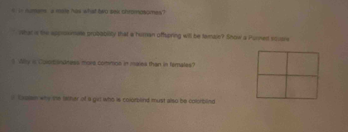 in humans, a male has what two sex chromosomes? 
what is the approximate probability that a human offspring will be female? Show a Punnert square 
Why is Colorb ndness more common in males than in females? 
? Explam why the father of a gidl who is colorblind must also be colorblind