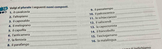 Volgi al plurale i seguenti nomi composti. 
1. il cavalcavia _9. il passatempo_ 
_ 
2. I'altopiano 10. il palcoscenico_ 
3. il caposaldo_ _11. lo schiaccianoci 
4. il melograno_ 12. il saliscendi_ 
13. la capocronista 
5. il capofila_ 
14. il francobollo 
_ 
6. l’anticamera_ 
7. la ferrovia _15. l'asciugamano_ 
_ 
8. il parafango _16. la malalingua