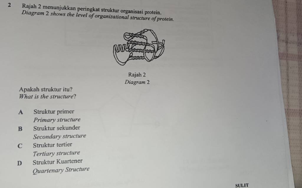 Rajah 2 menunjukkan peringkat struktur organisasi protein.
Diagram 2 shows the level of organizational structure of protein.
Mhanan
innad
Rajah 2
Diagram 2
Apakah struktur itu?
What is the structure?
A Struktur primer
Primary structure
B Struktur sekunder
Secondary structure
C Struktur tertier
Tertiary structure
D Struktur Kuartener
Quartenary Structure
SULIT