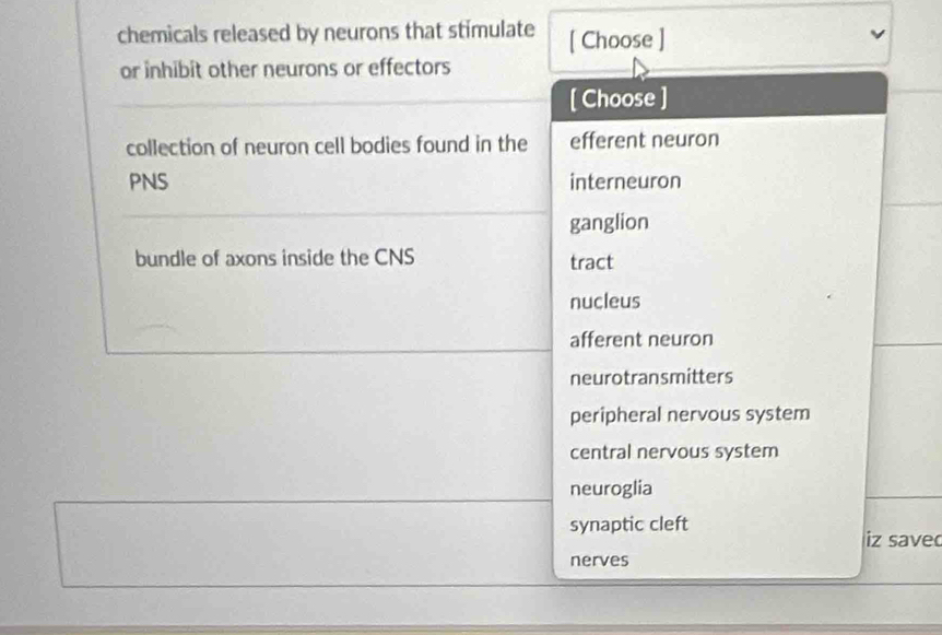 chemicals released by neurons that stimulate [ Choose ]
or inhibit other neurons or effectors
[ Choose ]
collection of neuron cell bodies found in the efferent neuron
PNS interneuron
ganglion
bundle of axons inside the CNS tract
nucleus
afferent neuron
neurotransmitters
peripheral nervous system
central nervous system
neuroglia
synaptic cleft
iz save
nerves