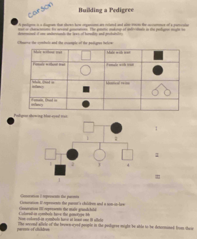 Building a Pedigree 
Carson 
A pedigree is a diagram that shows how organisms are related and also traces the occurrence of a particular 
trst or charactmiste for several generations. The genetic makeup of individuals in the pedigree might be 
determined if one understands the laws of heredity and probability 
Observe the symbols and the example of the pedigree below 
Pedigree showing blue-eyed trait: 
I 
Ⅱ 
Generation I represents the parents 
Generation II represents the parent's children and a SOn-10-1 IW 
Generation III represents the male grandchild 
Colored-in symbols have the genotype bb 
Non colored-in symbols have at least one B allele 
The second allele of the brown-eyed people in the pedigree might be able to be determined from their 
parents of children