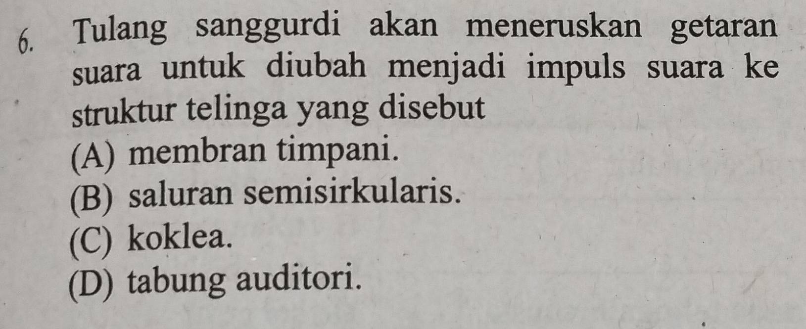 Tulang sanggurdi akan meneruskan getaran
suara untuk diubah menjadi impuls suara ke 
struktur telinga yang disebut
(A) membran timpani.
(B) saluran semisirkularis.
(C) koklea.
(D) tabung auditori.