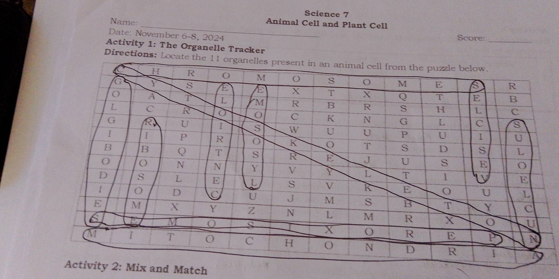 Science 7 
Name: 
Animal Cell and Plant Cell 
Date: November 6-8, 2024 
_ 
Score: 
_ 
Activity 1: The Organelle Tracker 
Directions: Lo 
2: Mix and Match