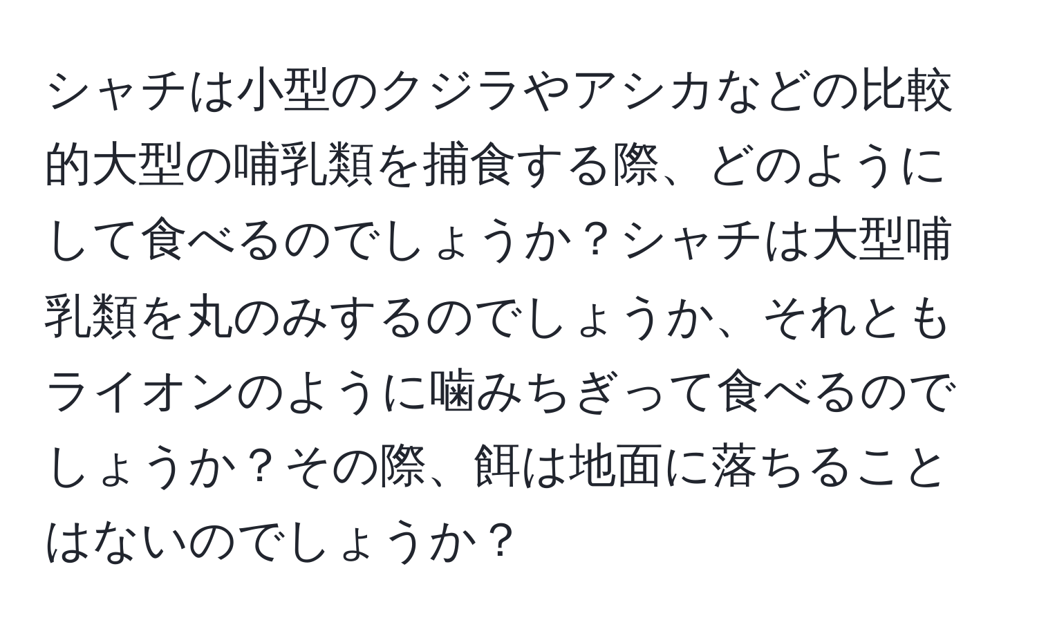 シャチは小型のクジラやアシカなどの比較的大型の哺乳類を捕食する際、どのようにして食べるのでしょうか？シャチは大型哺乳類を丸のみするのでしょうか、それともライオンのように噛みちぎって食べるのでしょうか？その際、餌は地面に落ちることはないのでしょうか？