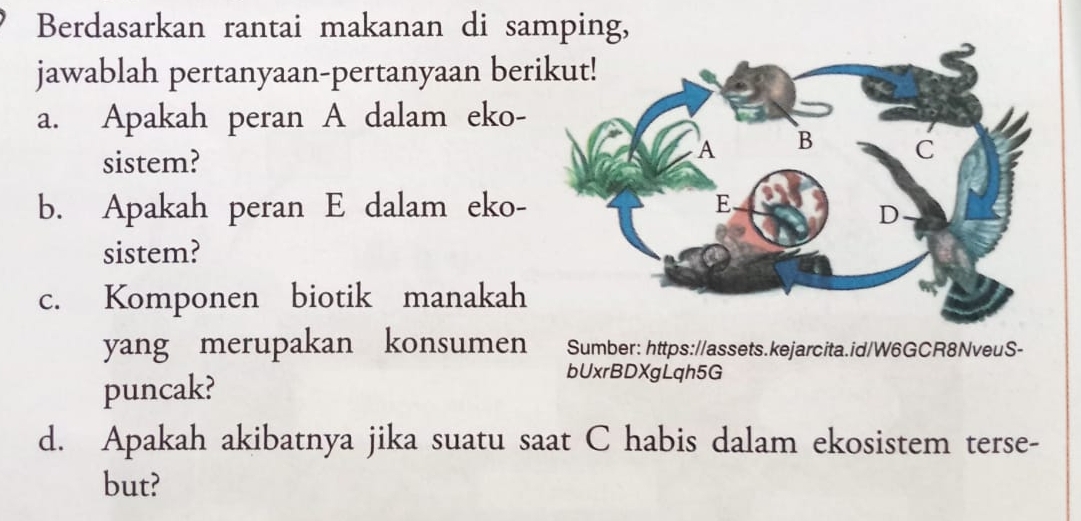 Berdasarkan rantai makanan di samping, 
jawablah pertanyaan-pertanyaan ber 
a. Apakah peran A dalam eko- 
sistem? 
b. Apakah peran E dalam eko- 
sistem? 
c. Komponen biotik manakah 
yang merupakan konsumen Sumber: https://assets.kejarcita.id/W6GCR8NveuS- 
puncak? 
bUxrBDXgLqh5G 
d. Apakah akibatnya jika suatu saat C habis dalam ekosistem terse- 
but?