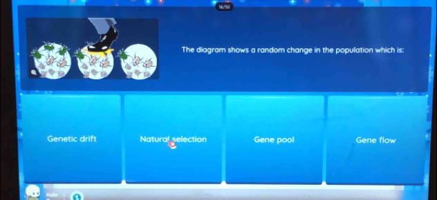 The diagram shows a random change in the population which is:
Genetic drift Natural selection Gene pool Gene flow
Kolln