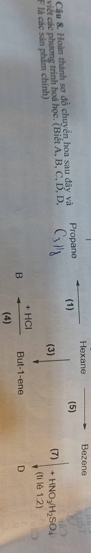 Hexane Bezene
Cậu 8. Hoàn thành sơ dhat o chuyển hoa sau đây và
Propane (5)
(1)
viết các phương trình hoá học. (Biết A, B, C, D, D, (7) +HNO_3/H_2SO_4
(3)
F là các sản phẩm chính)
(tile1:2)
B - (+HCl)/(4)  But -1 -ene D