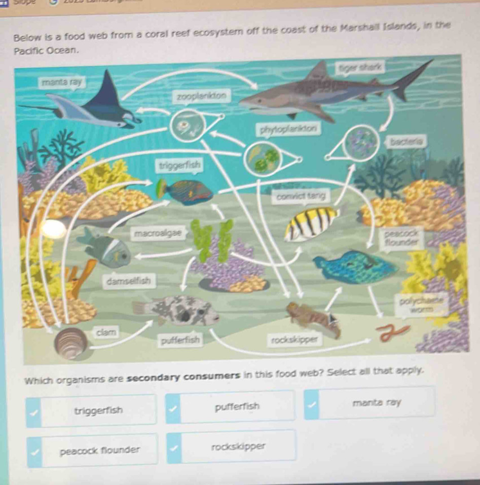 Solved: supe Below is a food web from a coral reef ecosystem off the ...