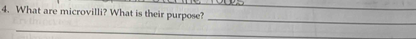 What are microvilli? What is their purpose? 
_ 
_