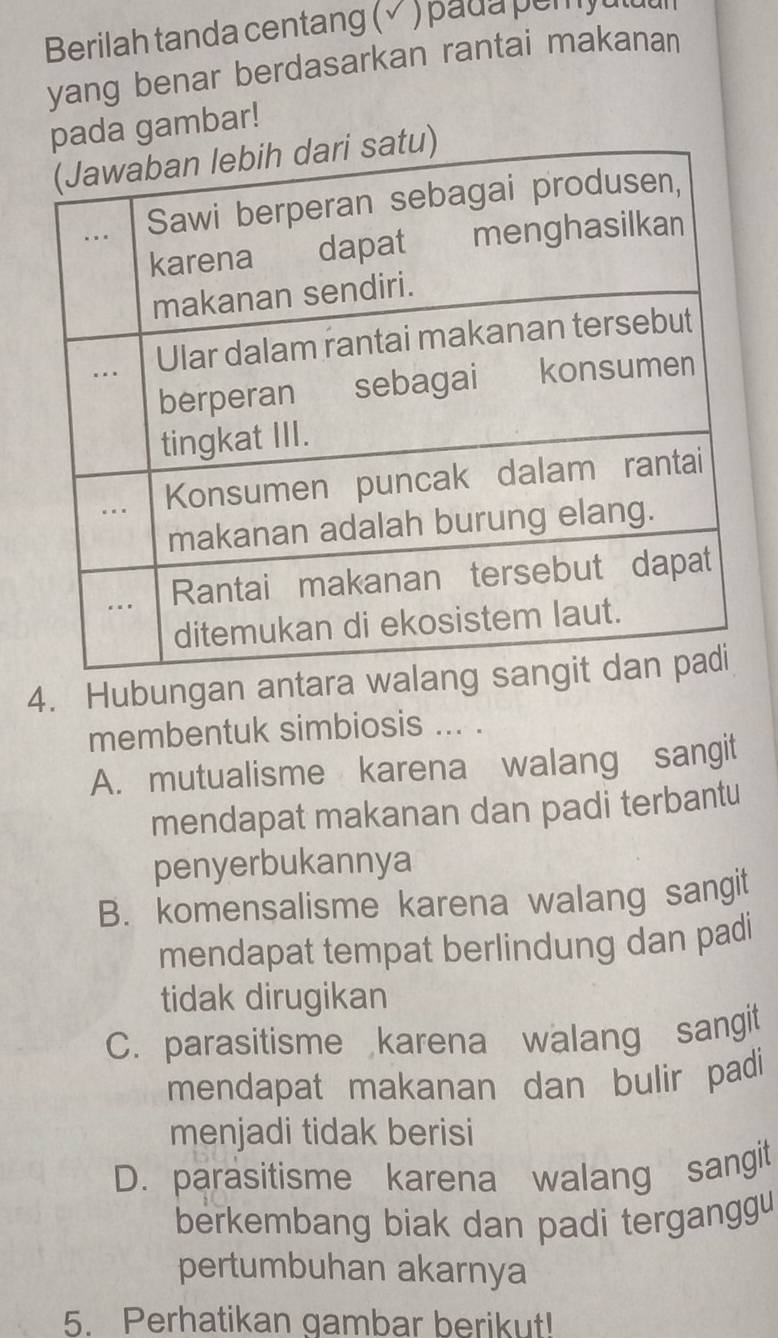 Berilah tanda centang (√ ) pada pemful
yang benar berdasarkan rantai makanan
pada gambar!
4. Hubungan antara wa
membentuk simbiosis ... .
A. mutualisme karena walang sangit
mendapat makanan dan padi terbantu
penyerbukannya
B. komensalisme karena walang sangit
mendapat tempat berlindung dan padi
tidak dirugikan
C. parasitisme karena walang sangit
mendapat makanan dan bulir padi
menjadi tidak berisi
D. parasitisme karena walang sangit
berkembang biak dan padi terganggu
pertumbuhan akarnya
5. Perhatikan gambar berikut!