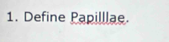 Define Papilllae.