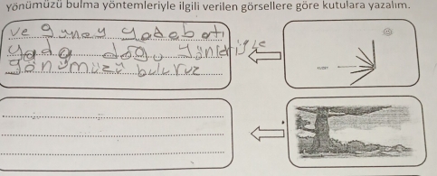 yönümüzü bulma yöntemleriyle ilgili verilen görsellere göre kutulara yazalım. 
_ 
_ 
_ 
_ 
_ 
_