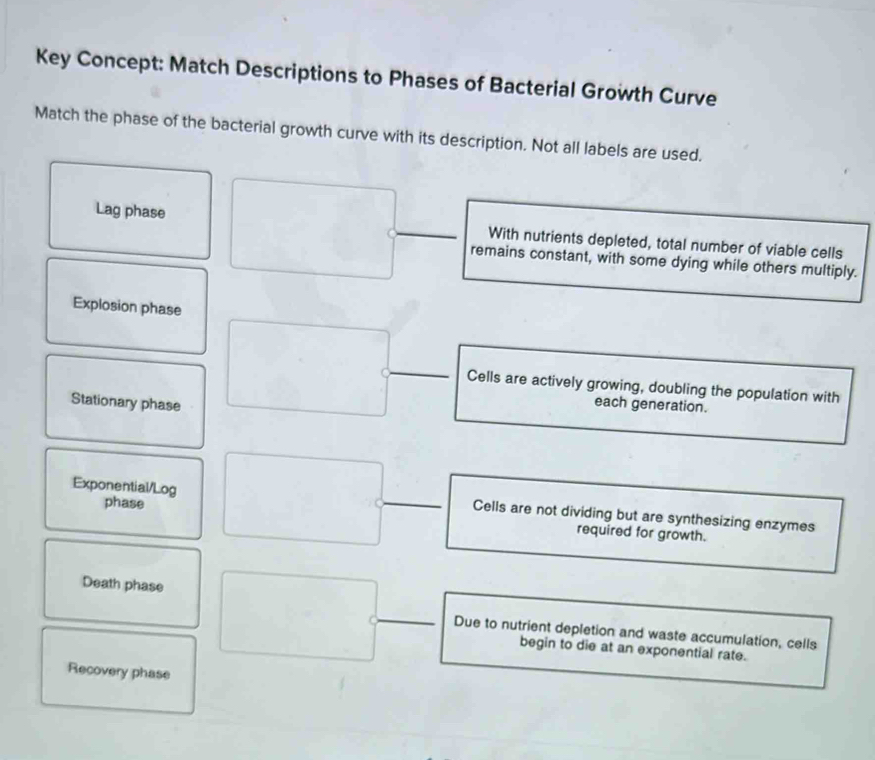 Solved: Key Concept: Match Descriptions to Phases of Bacterial Growth ...