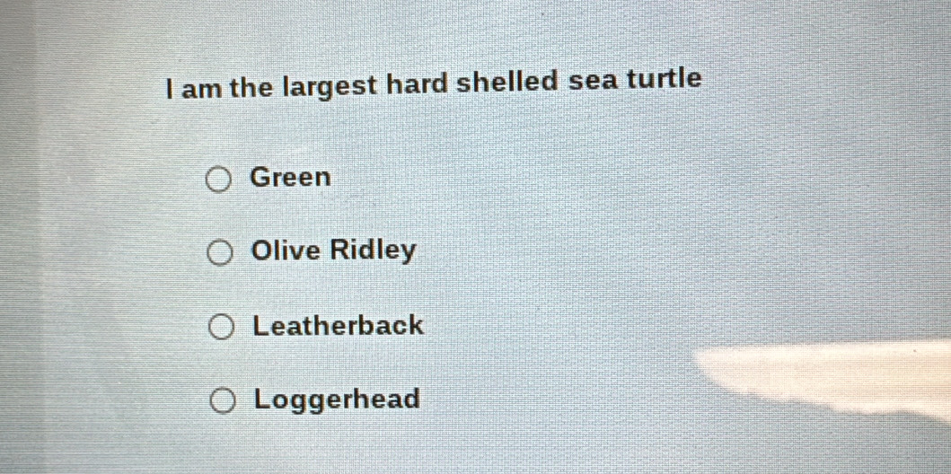 am the largest hard shelled sea turtle
Green
Olive Ridley
Leatherback
Loggerhead