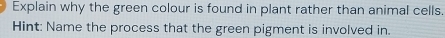 Explain why the green colour is found in plant rather than animal cells. 
Hint: Name the process that the green pigment is involved in.