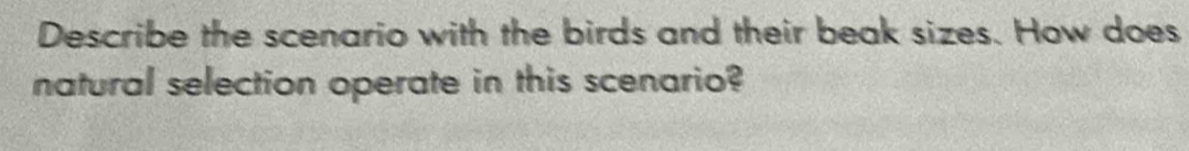 Describe the scenario with the birds and their beak sizes. How does 
natural selection operate in this scenario?