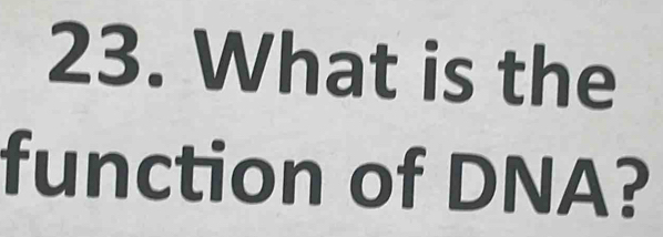 What is the 
function of DNA?