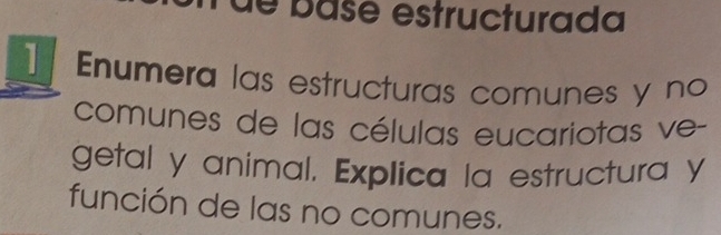 de basé estructurada 
Enumera las estructuras comunes y no 
comunes de las células eucariotas ve- 
getal y animal. Explica la estructura y 
función de las no comunes.