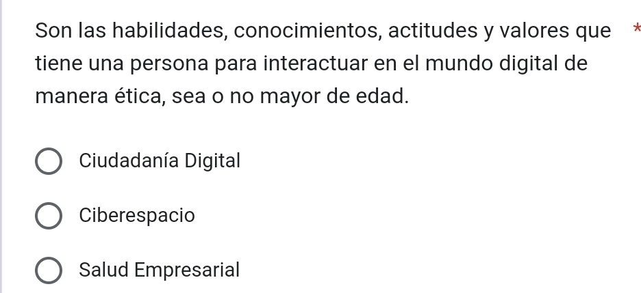 Son las habilidades, conocimientos, actitudes y valores que*
tiene una persona para interactuar en el mundo digital de
manera ética, sea o no mayor de edad.
Ciudadanía Digital
Ciberespacio
Salud Empresarial