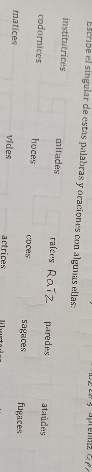 Escribe el singular de estas palabras y oraciones con algunas ellas: 
institutrices mitades raíces 
paredes ataúdes 
codornices hoces fugaces 
coces sagaces 
matices 
vides 
actrices