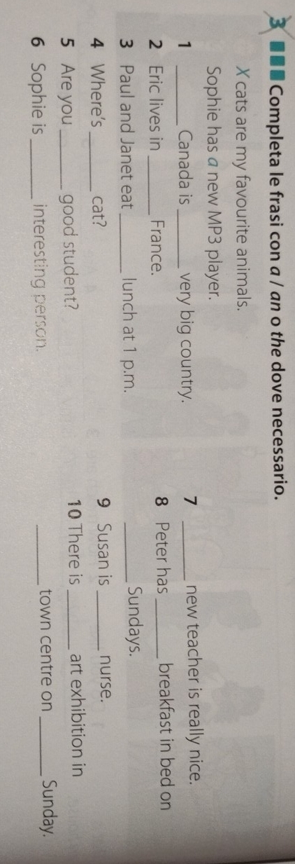 3 ■■■ Completa le frasi con a / an o the dove necessario. 
X cats are my favourite animals. 
Sophie has a new MP3 player. 
7 
1 _Canada is _very big country. _new teacher is really nice. 
2 Eric lives in _France. 8 Peter has_ breakfast in bed on 
3 Paul and Janet eat _lunch at 1 p.m. 
_Sundays. 
4 Where's_ cat? 9 Susan is _nurse. 
5 Are you _good student? 10 There is _art exhibition in 
6 Sophie is _interesting person. _town centre on _Sunday.