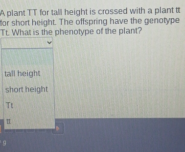 A plant TT for tall height is crossed with a plant tt
for short height. The offspring have the genotype
Tt. What is the phenotype of the plant?
tall height
short height
Tt
tt
9