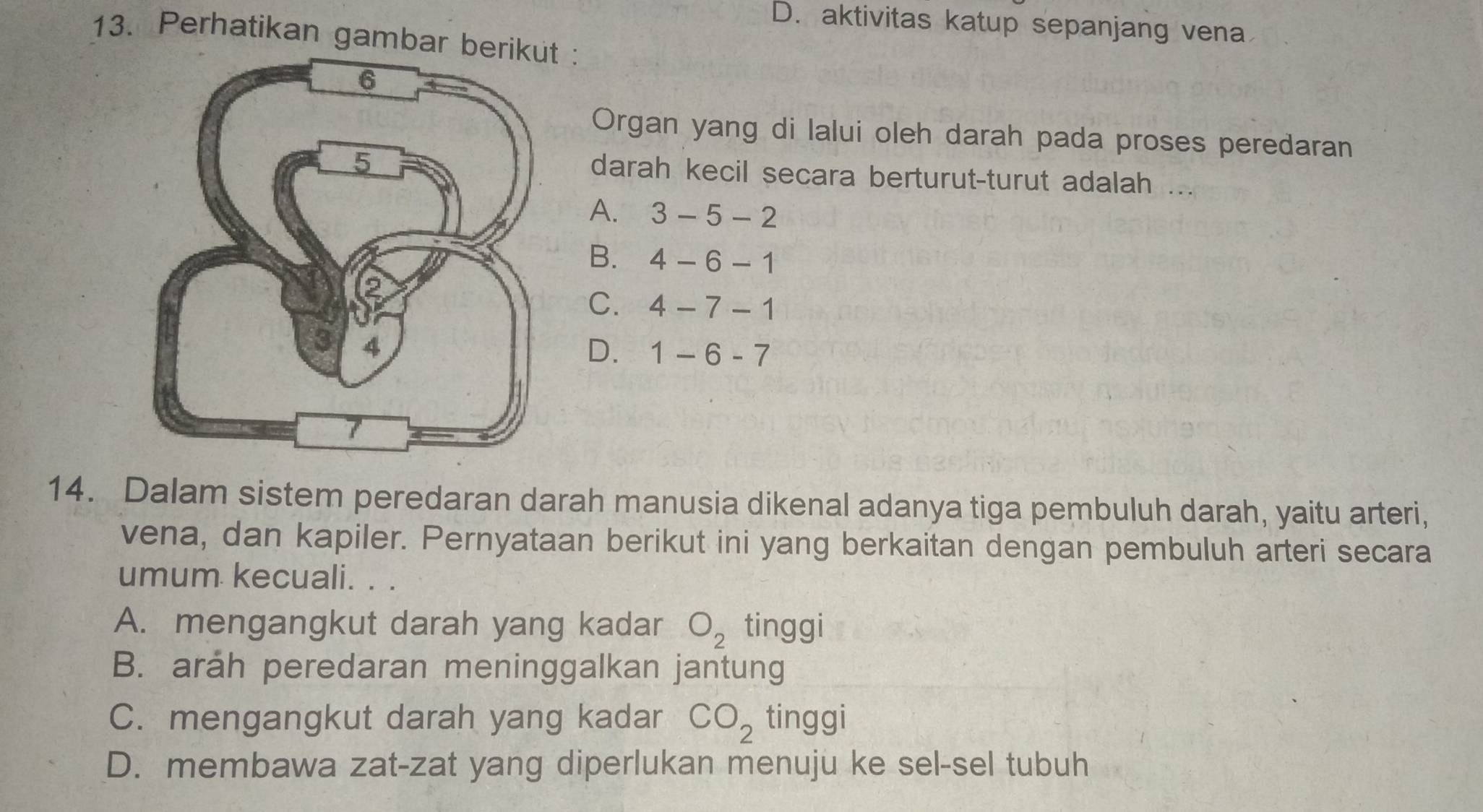 D. aktivitas katup sepanjang vena
13. Perhatikan gambar berikut :
Organ yang di lalui oleh darah pada proses peredaran
darah kecil secara berturut-turut adalah ...
A. 3-5-2
B. 4-6-1
C. 4-7-1
D. 1-6-7
14. Dalam sistem peredaran darah manusia dikenal adanya tiga pembuluh darah, yaitu arteri,
vena, dan kapiler. Pernyataan berikut ini yang berkaitan dengan pembuluh arteri secara
umum kecuali.
A. mengangkut darah yang kadar O_2 tinggi
B. aráh peredaran meninggalkan jantung
C. mengangkut darah yang kadar CO_2 tinggi
D. membawa zat-zat yang diperlukan menuju ke sel-sel tubuh