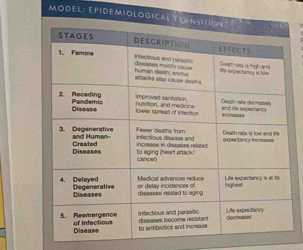 MODEL: EPIDEMIOLOGICAL TR