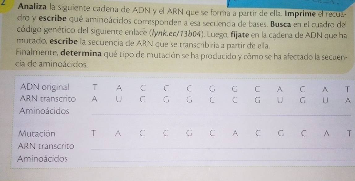 Resuelto:Analiza la siguiente cadena de ADN y el ARN que se forma a ...