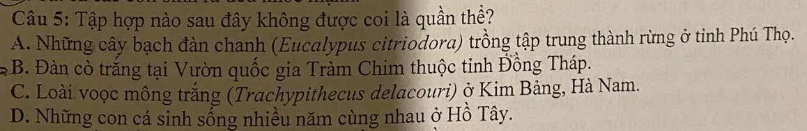 Tập hợp nào sau đây không được coi là quần thể?
A. Những cây bạch đàn chanh (Eucalypus citriodora) trồng tập trung thành rừng ở tỉnh Phú Thọ.
B. Đàn cò trắng tại Vườn quốc gia Tràm Chim thuộc tỉnh Đồng Tháp.
C. Loài voọc mông trắng (Trachypithecus delacouri) ở Kim Bảng, Hà Nam.
D. Những con cá sinh sống nhiều năm cùng nhau ở Hồ Tây.