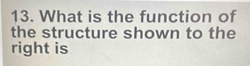 What is the function of 
the structure shown to the 
right is